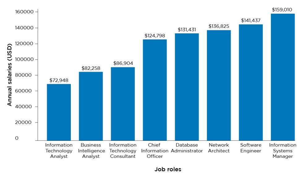 bba-in-management-information-systems-northwood-university