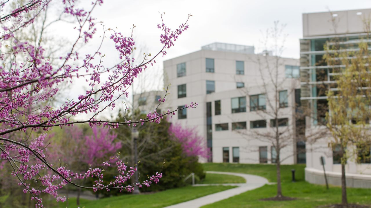 Duke Chief Technology Officer Program Duke Fuqua School of Business